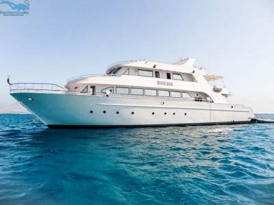 Our Yachts - Red Sea Quality - Liveaboard in Red